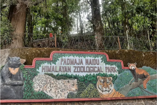 Padmaja Naidu Himalayan Zoological Park