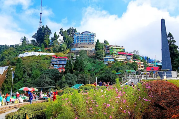 Batasia loop