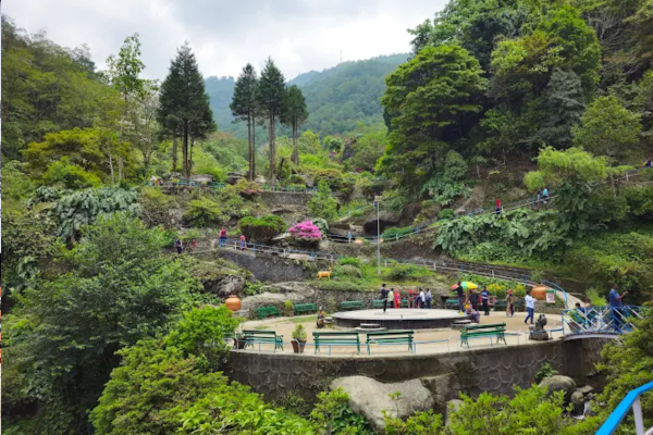Rock garden