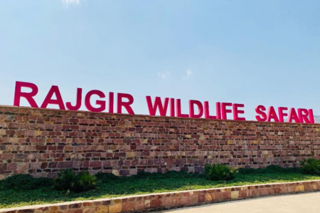 Rajgir Wild Safari - Rajgir Nalanda Pawapuri Tour Package
